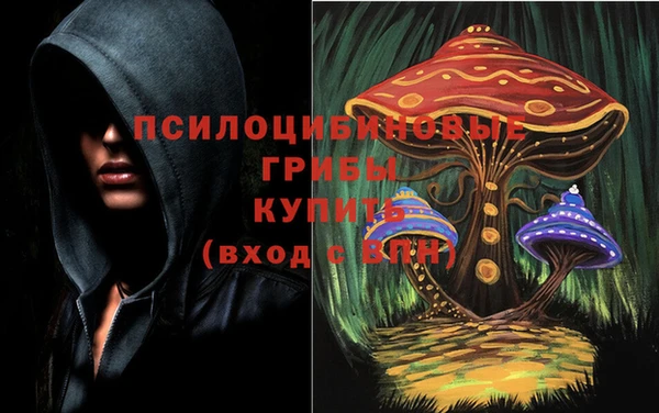 jwh Магас
